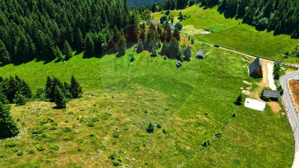 Teren de 7830mp de vanzare in Fundata! Comision 0%