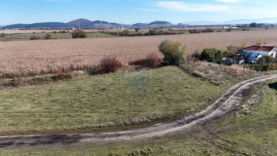 Land 600sqm Sanpetru / Strada Castelului