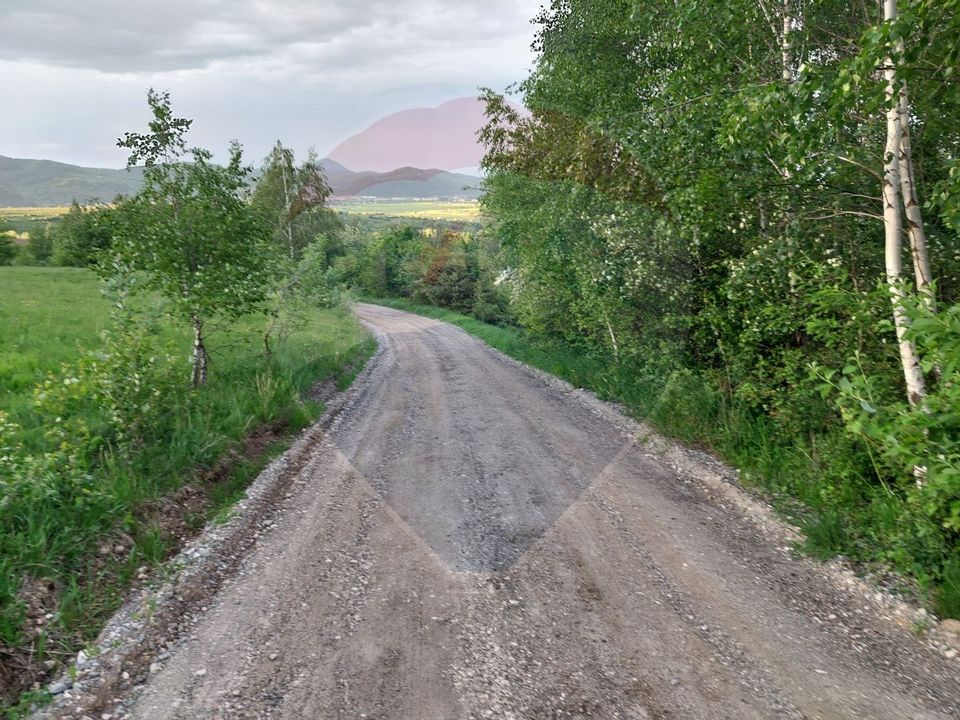 Land 4,223sqm Zarnesti / Strada Tohanita