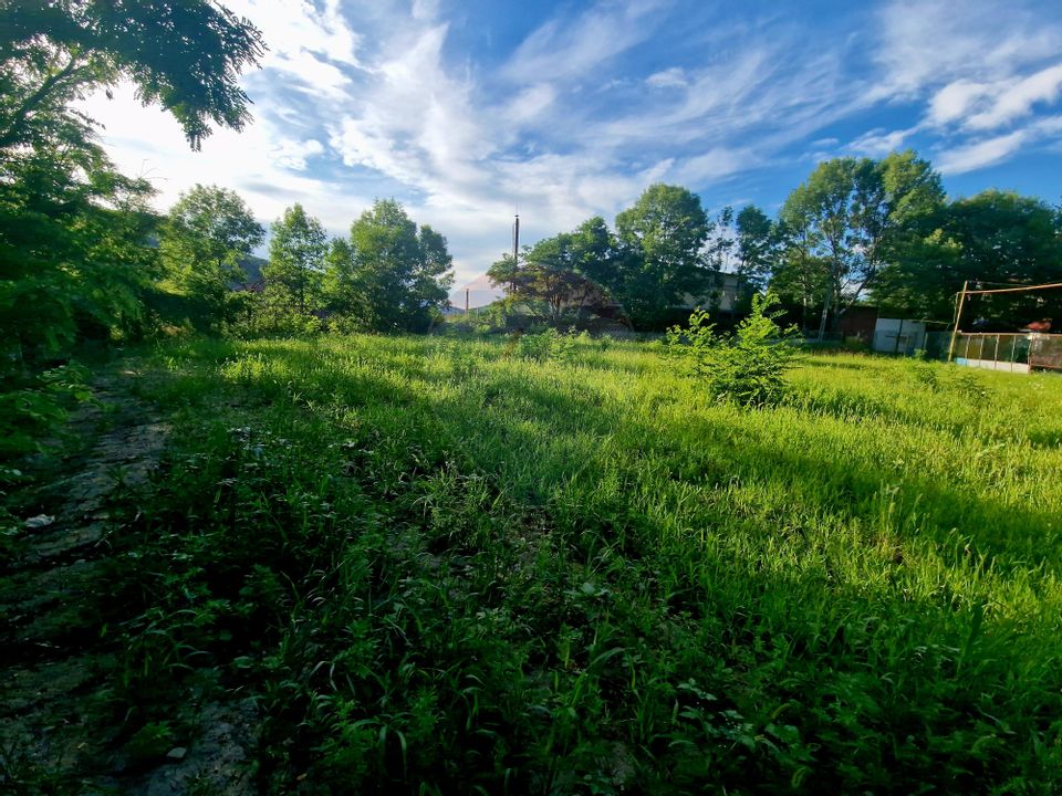 Teren 1,749mp Piatra-Neamt / Strada Zambilelor