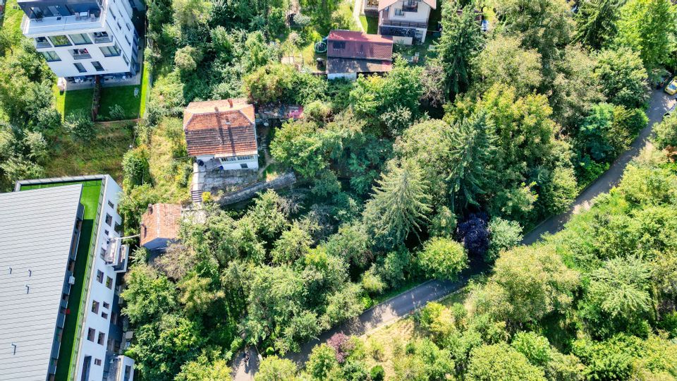 Property with impressive land of 1700sqm in Scheii Brașovului