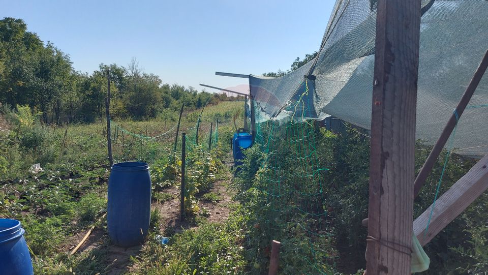 Urban Land for Sale | 4,342 sqm | Săftica – DN1 | Balotești