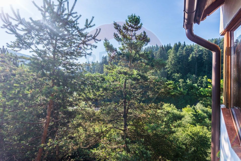Afacere la cheie! Pensiune-restaurant-săli evenimente Brașov-Brădet
