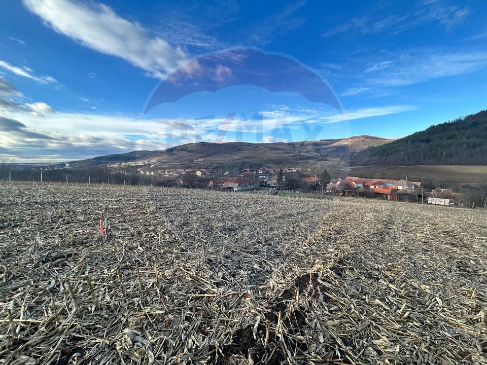 Teren Extravilan Sliminic 5000mp