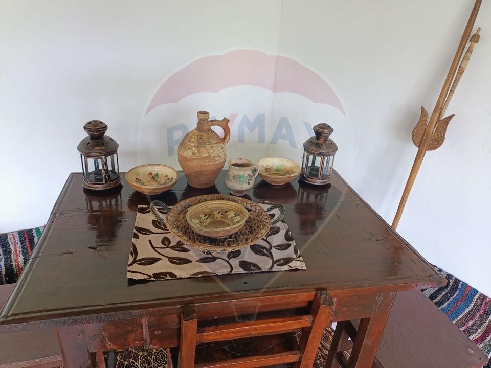 Vânzare casa la munte - zona turistica - Baia de Fier