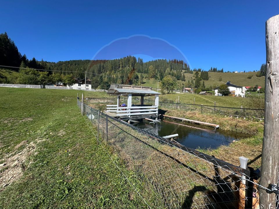 Casă în Vatra Dornei, zona Argestru, cu 11.541m.p. TEREN INTRAVILAN