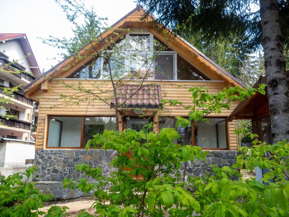 4 room House / Villa for sale, Vladet - Trei Brazi area