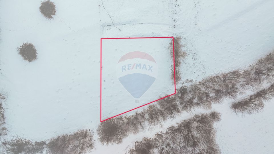 Land 500sqm Zarnesti / Strada Pe tarina