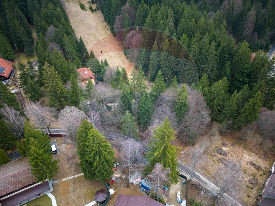 2000 sqm Intravilan Land for Sale in Poiana Brașov! 0% Commission!