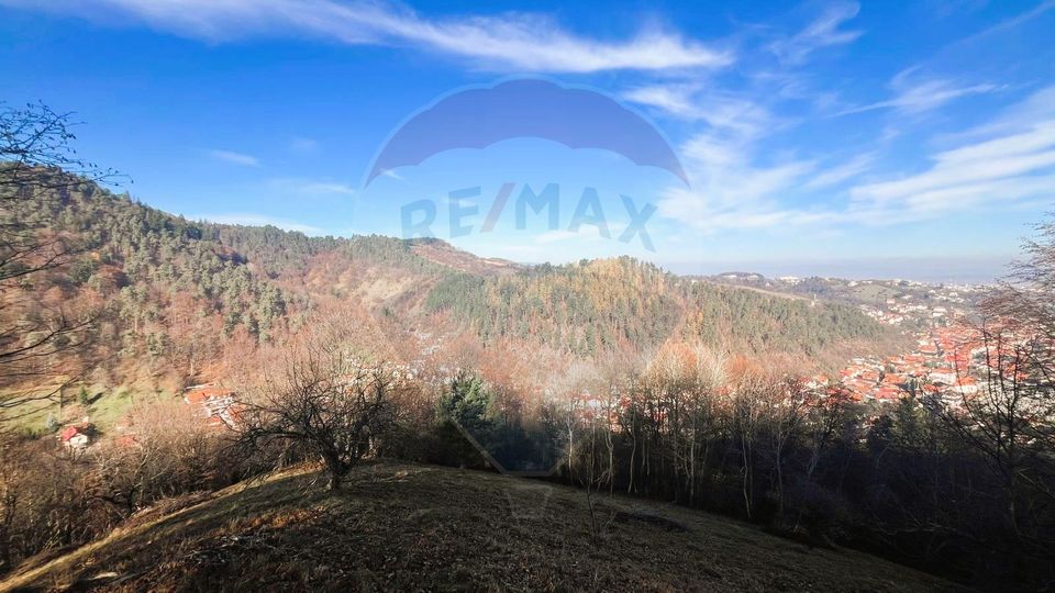 Hillside Panorama Estate – 17,684 sqm in Schei, Brașov