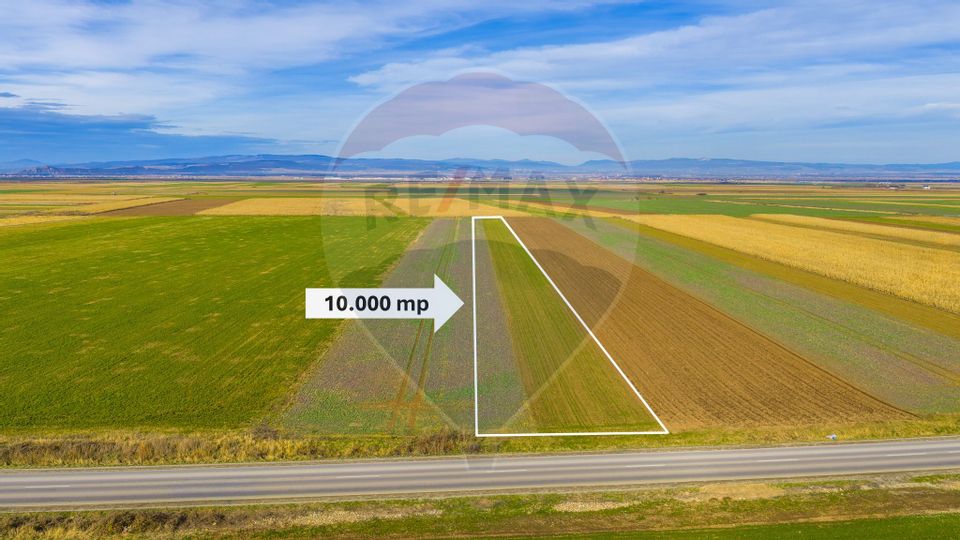 Teren 10,000mp Tarlungeni