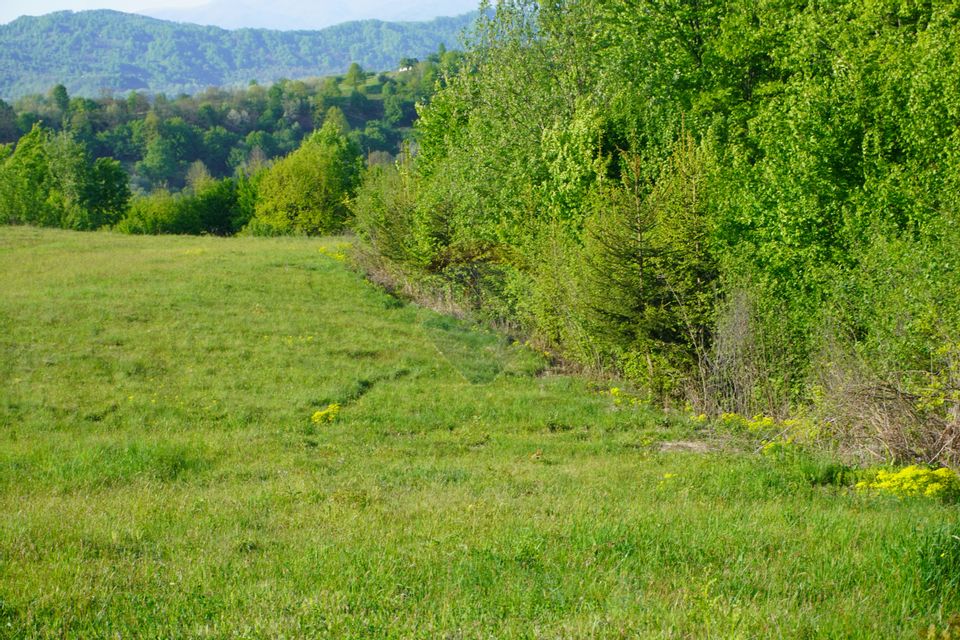 Teren 38,592mp Sighetu Marmatiei / Strada Mocăniței