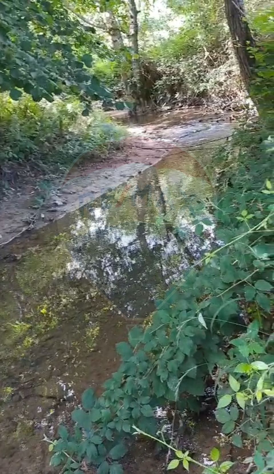 Casă langa parau-sat Brusturi, com. Halmagiu