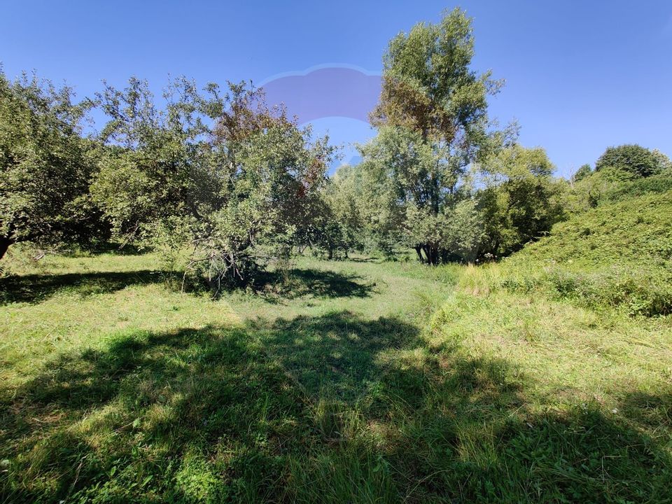 Land 3,718sqm Remetea Chioarului / Strada Principală