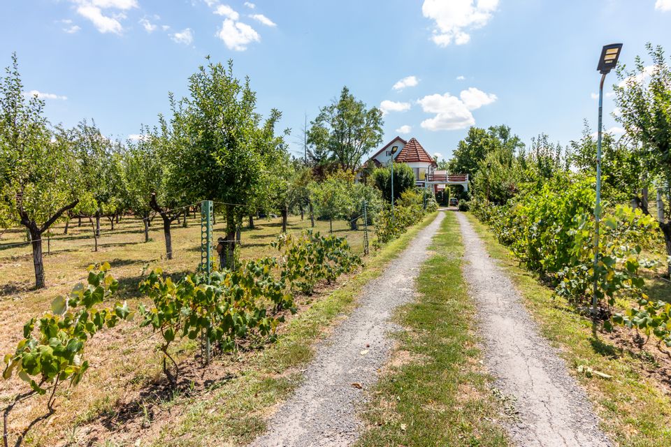Casa+Laborator+ Teren 12.700 mp + casa de vacanta - Bolintin Vale