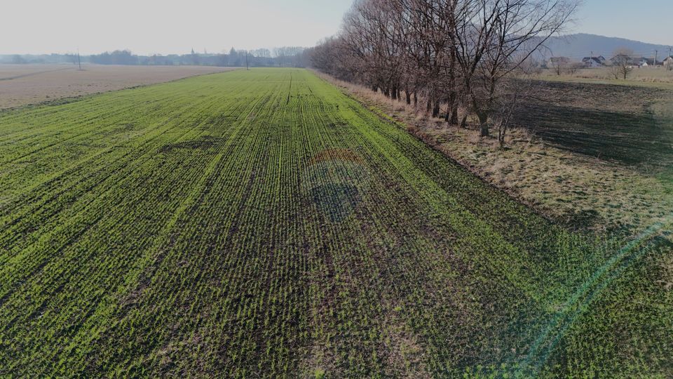 Teren extravilan cu potențial ridicat | Hărman, zonă de case