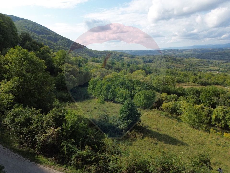 Land 5,000sqm Magureni / Strada Principală