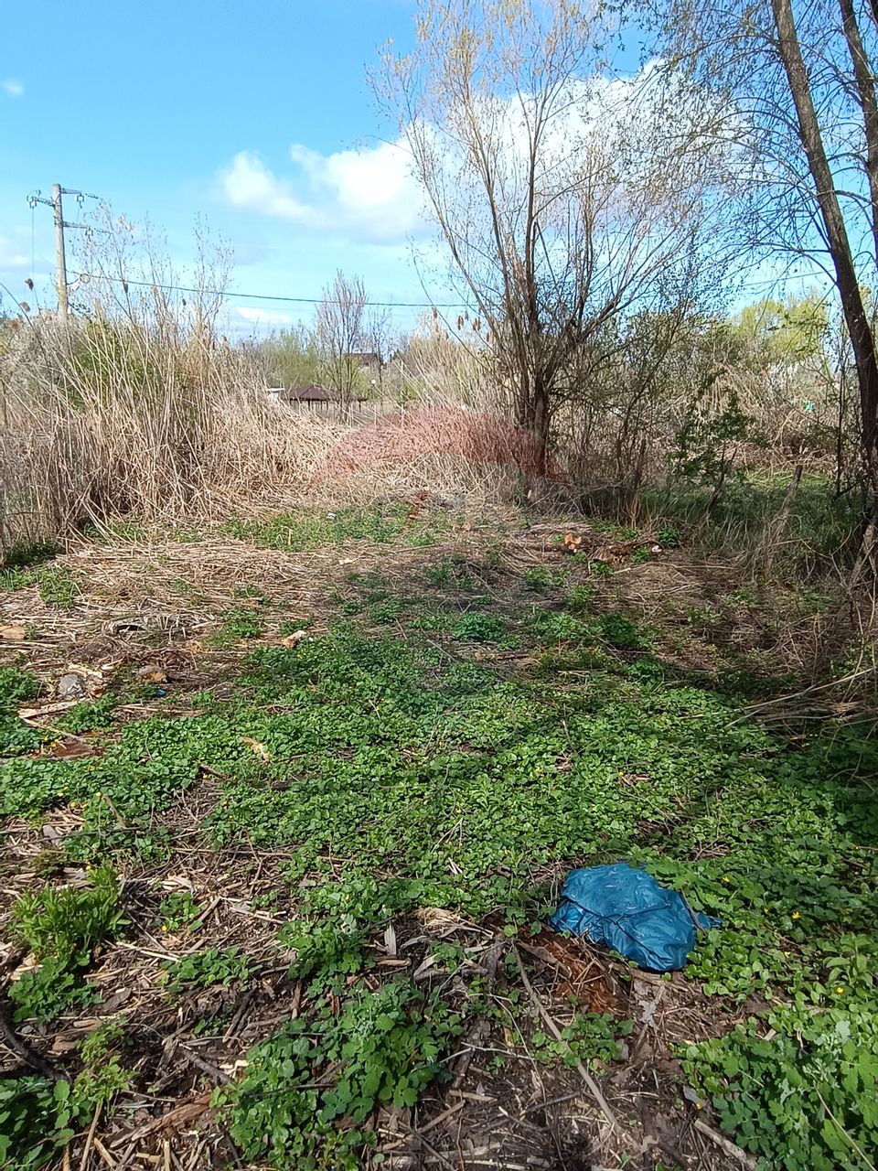 Teren  intravilan 867mp Moara Vlasiei / Soseaua Eroilor