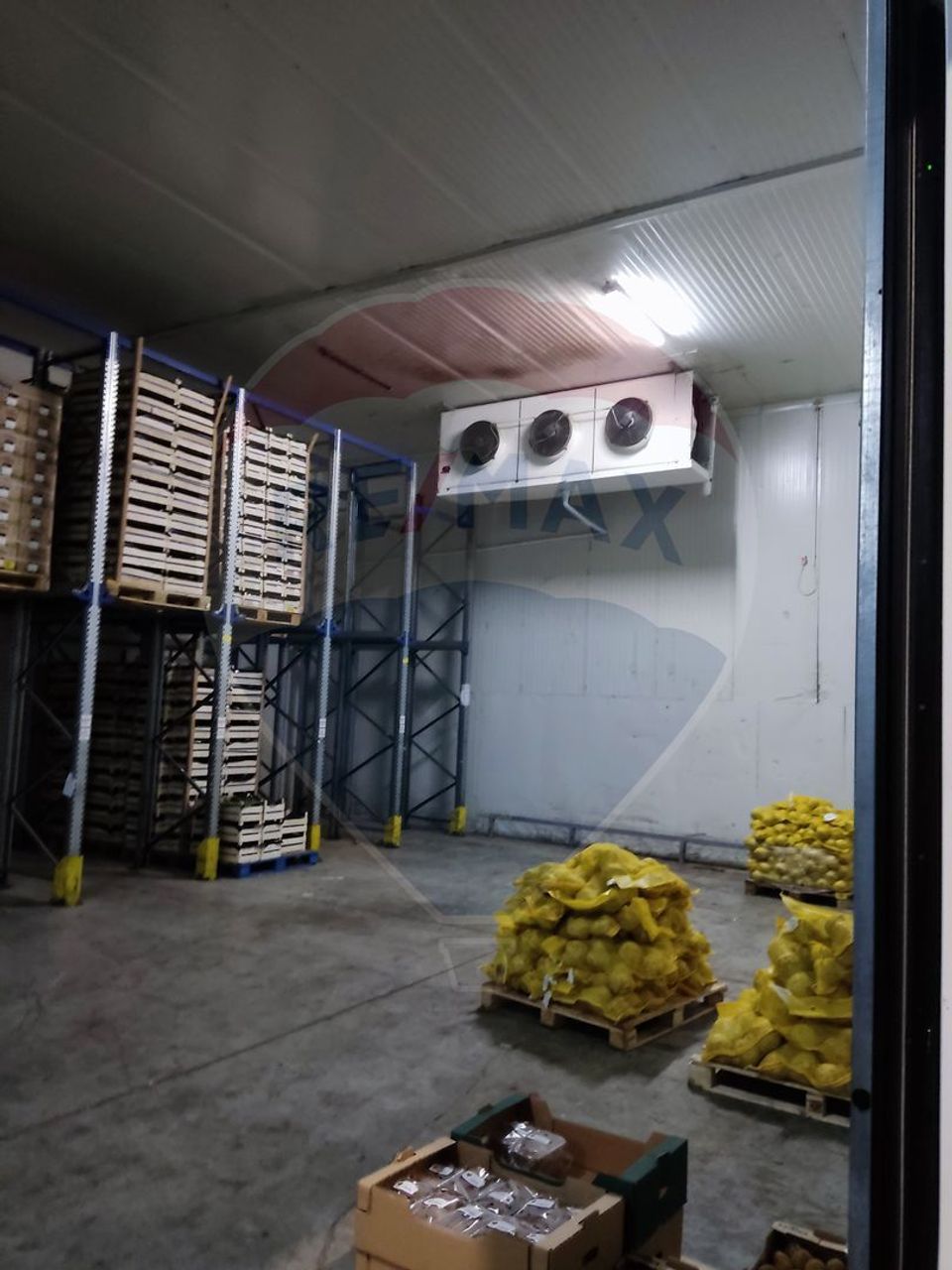 Depozit frigorific  hala ideal legume, fructe, flori