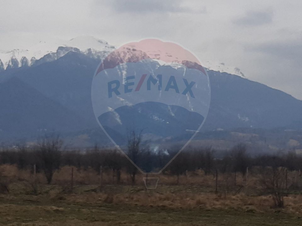 Teren 10,000mp Rasnov / Drumul Panicel