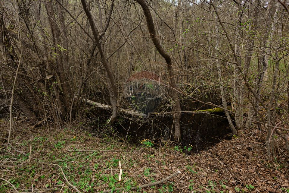 Proprietate unică în Tarcău – 30.283 mp intravilan, casă P+M