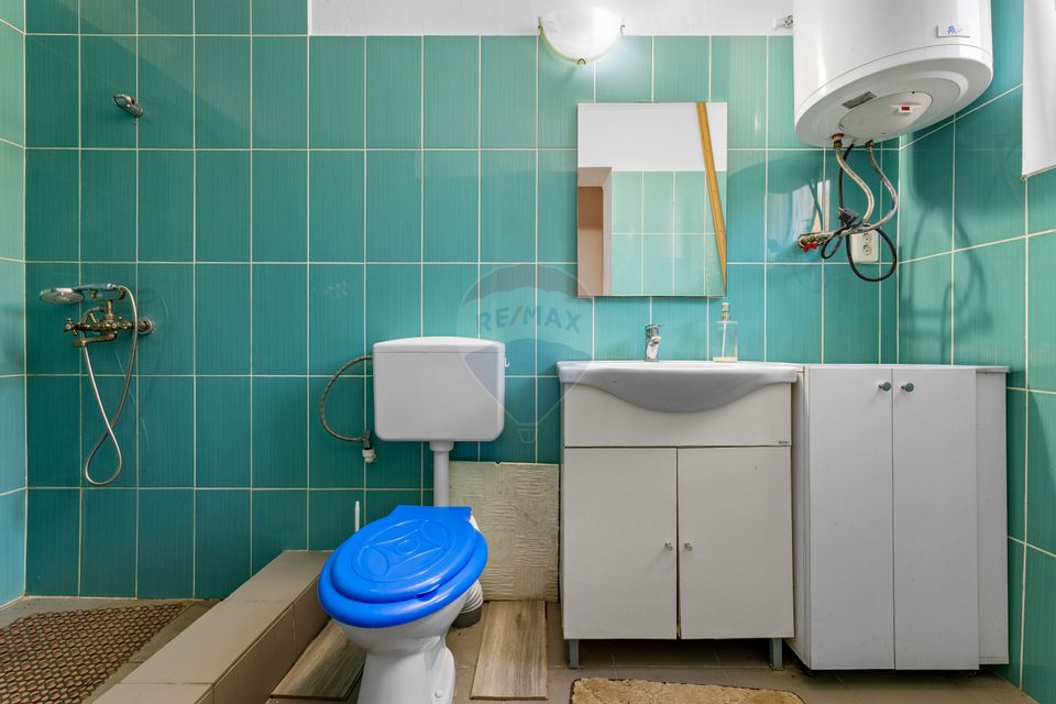 Casă cu 5 camere in Barzava