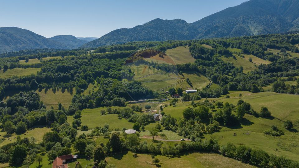 Land with utilities, 5,495sqm Bran - panoramic view, near Bran Castle