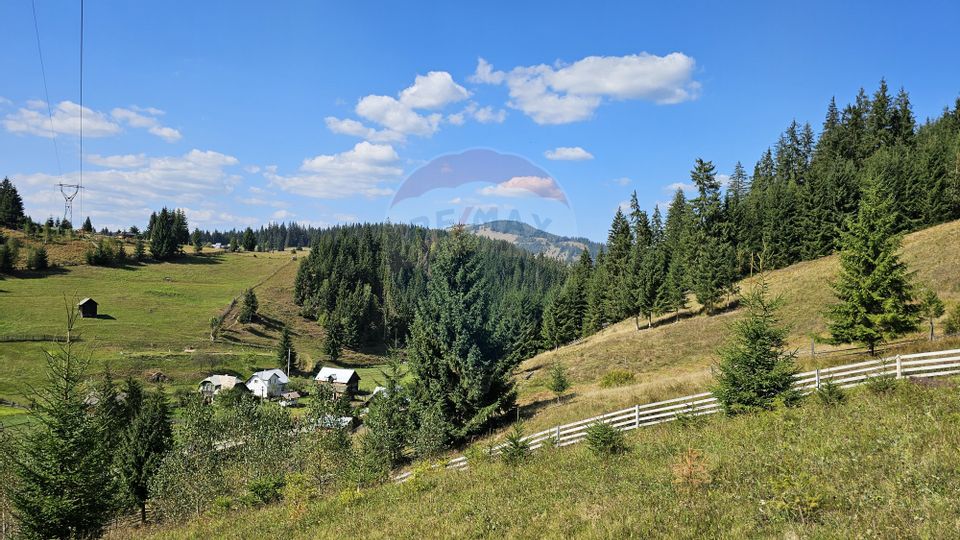 Casă / Vilă de vacanta in Dorna Arini, Suceava