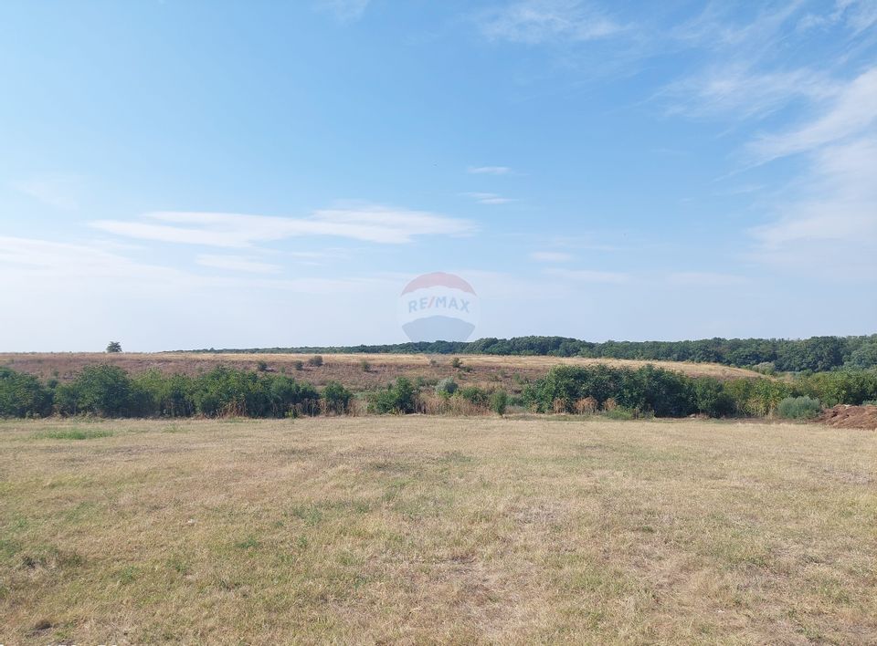 Teren de vânzare cu deschidere la lac – 2136 mp | Grădiștea, Ilfov