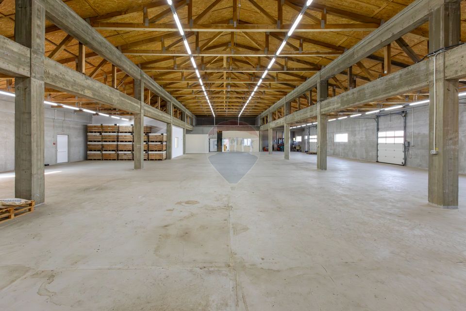 Hală 1.000 mp + curte 3.200 mp + CASĂ 160 mp BONUS | Acces TIR | Bacău