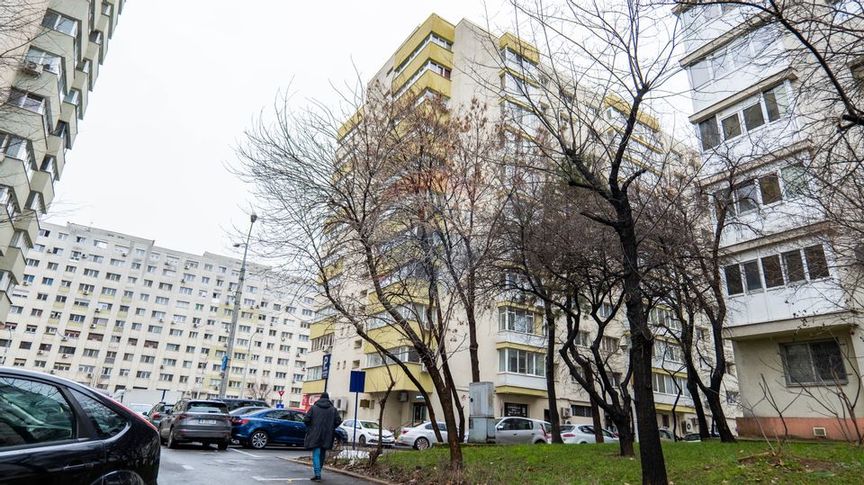 1 room Apartment for sale, Pantelimon area