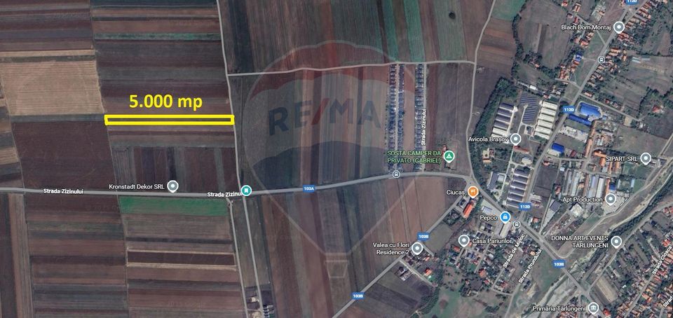 Teren Extravilan 5.000 mp Tarlungeni / Strada Zizinului