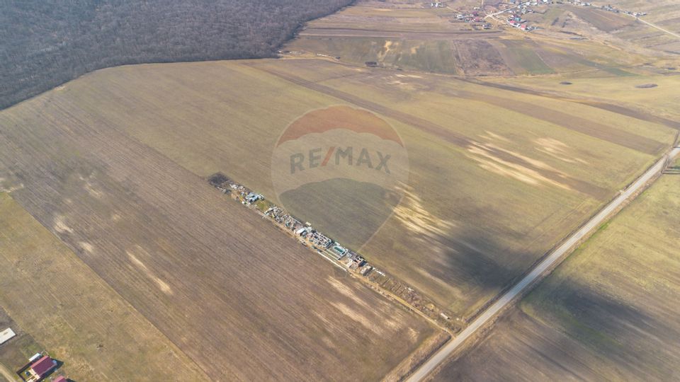 Land 13,500sqm Voinesti / Strada LUNGANI(DJ248B)