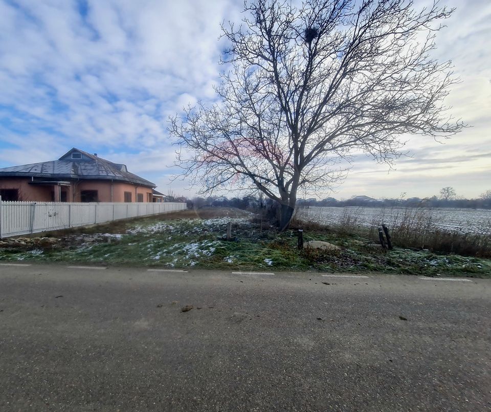 Land 1,564sqm Gologanu / Strada Ciocarliei