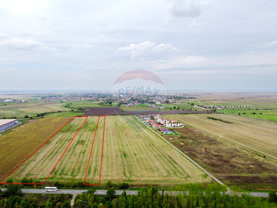 Land 10,000sqm Sanandrei / Strada Principala