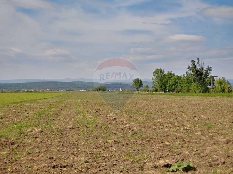 Land 23,953sqm Suceava / Nord-Est