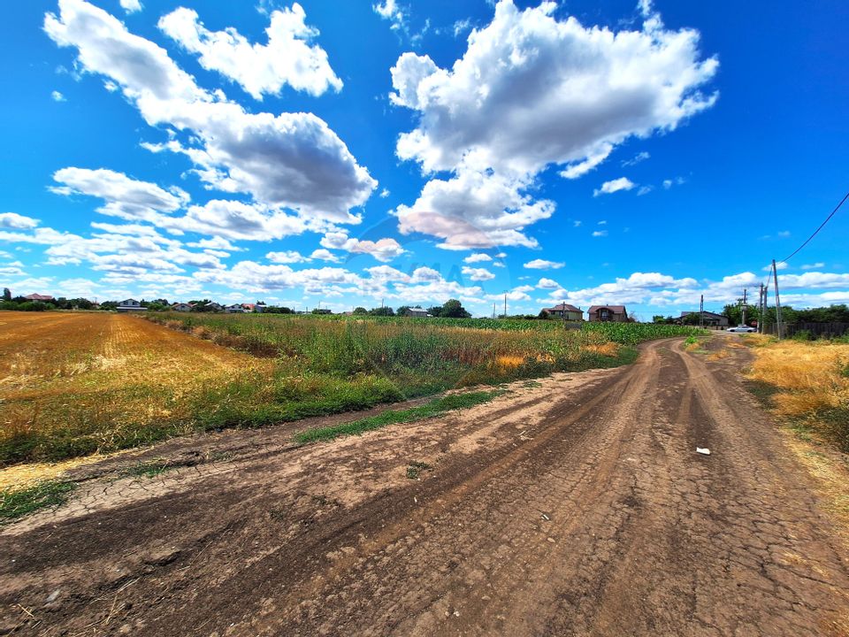 Teren Focsanei / DN sat Focsanei Vadu Pasii