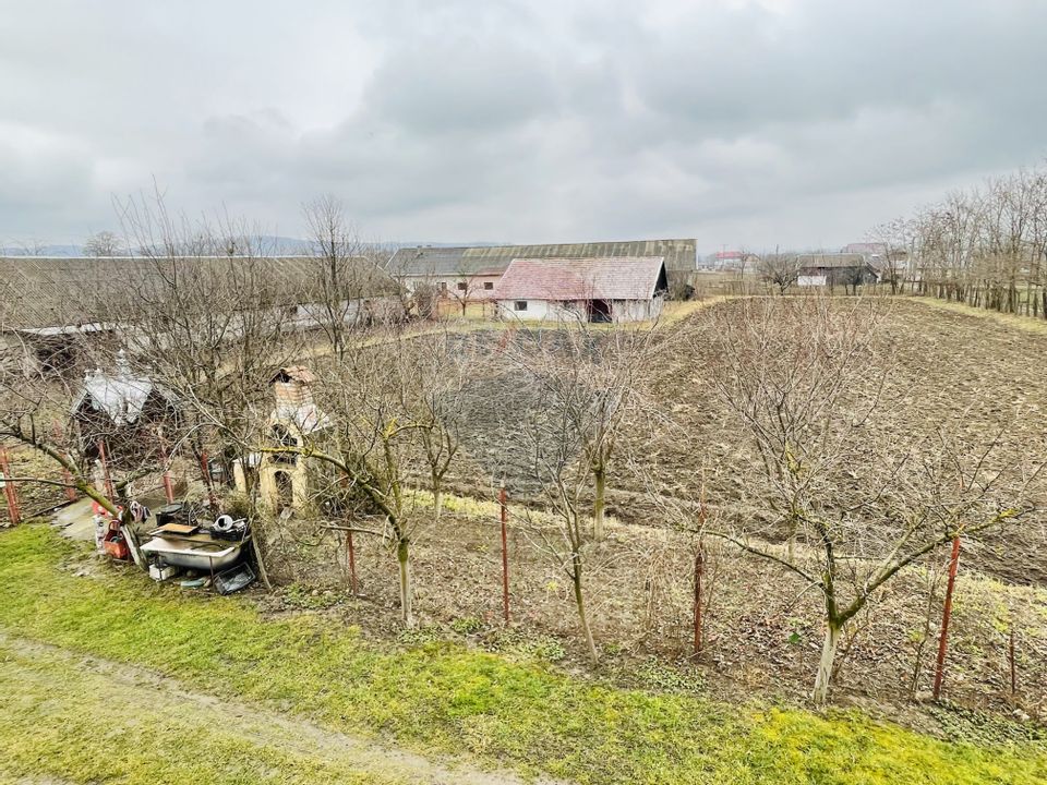 Land 9,900sqm Darmanesti / Soseaua Principala