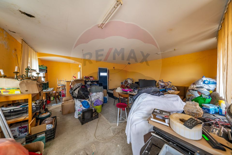 Spațiu industrial cu potential de vanzare in Paulis,Arad