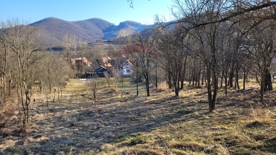 Teren intravilan 1.271 mp – Izvoarele, jud. Alba