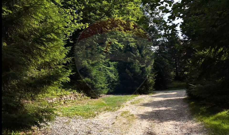 2000 sqm Intravilan Land for Sale in Poiana Brașov! 0% Commission!