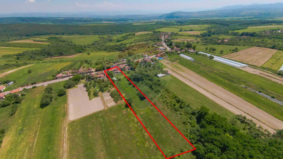 Casă  cu 3 camere și teren 4,342 mp de vânzare în Valea Mare de Codru