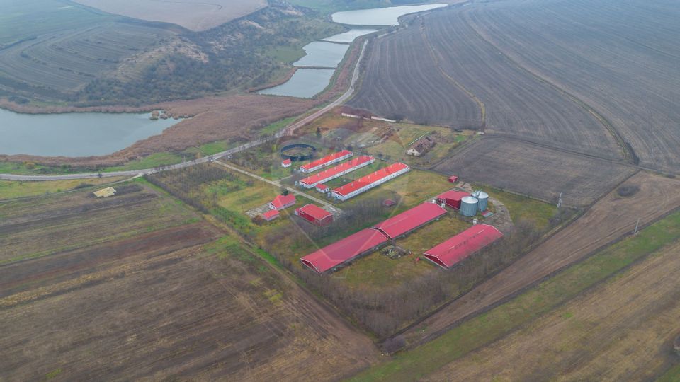 Land 43,708sqm Scobalteni / Strada DJ28D