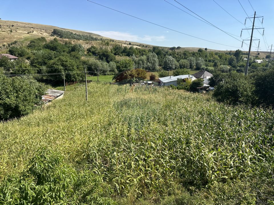 5 room House / Villa for sale, Ciritei area