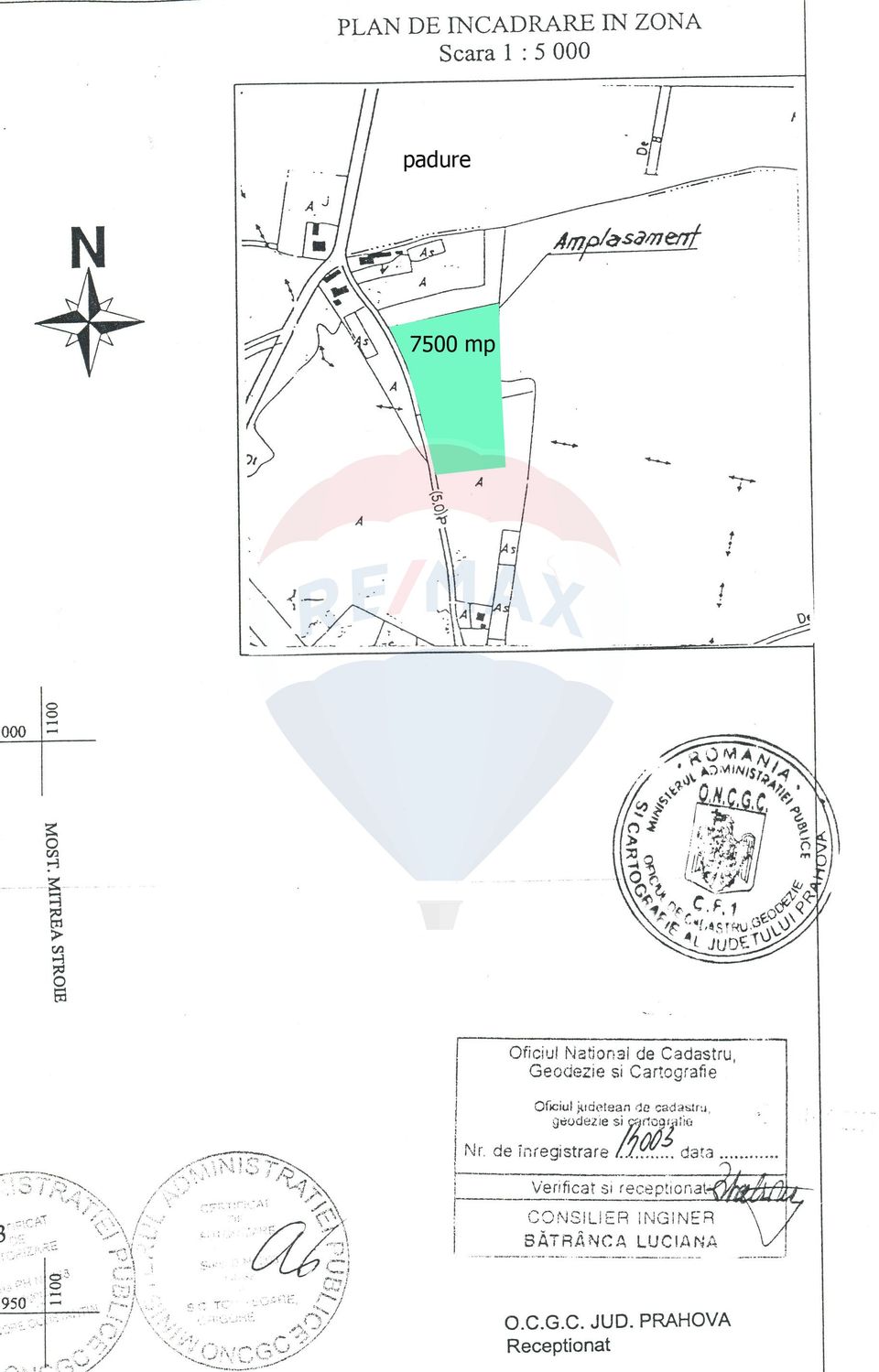 Intravilan land for sale 30 minutes from Bucharest, Curcubeu village