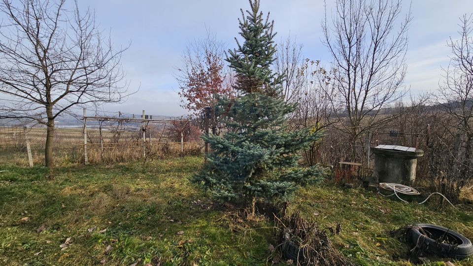 Teren extravilan 10,791mp Falticeni / Strada DJ209A, Opriseni