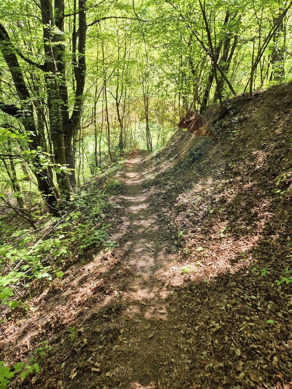 Teren intravilan 1,577mp Brasov / Schei/  constructii fara fundatie!