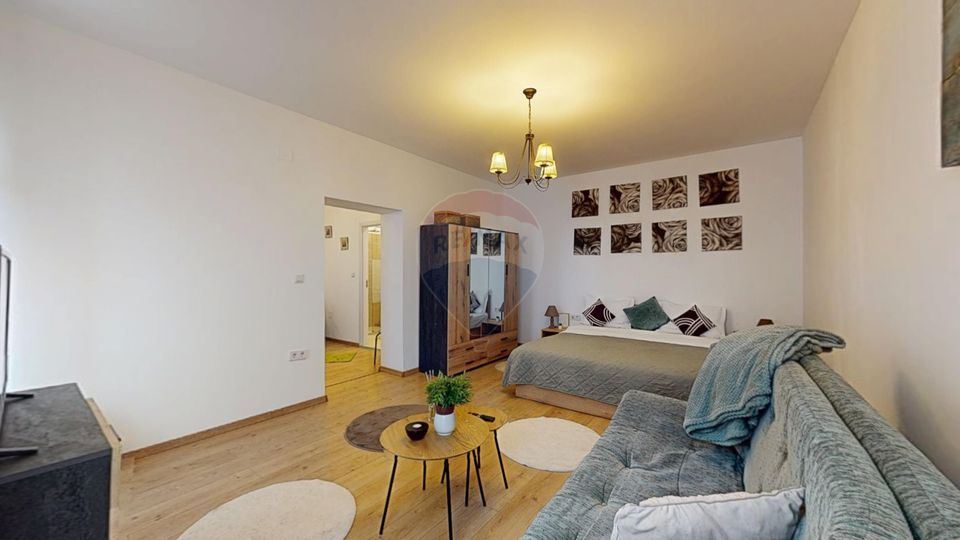 1 room Apartment for rent, Centrul Istoric area