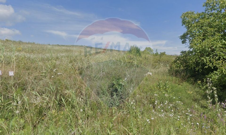 Land 2,556sqm Padureni (Chinteni) / Drumul DC147