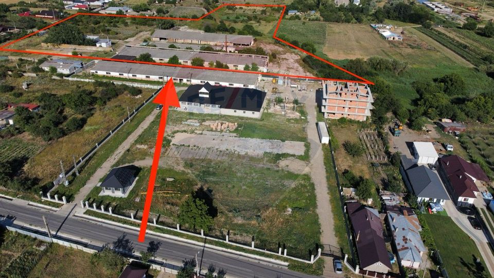 Spațiu industrial Hale si Fabrica de lemn